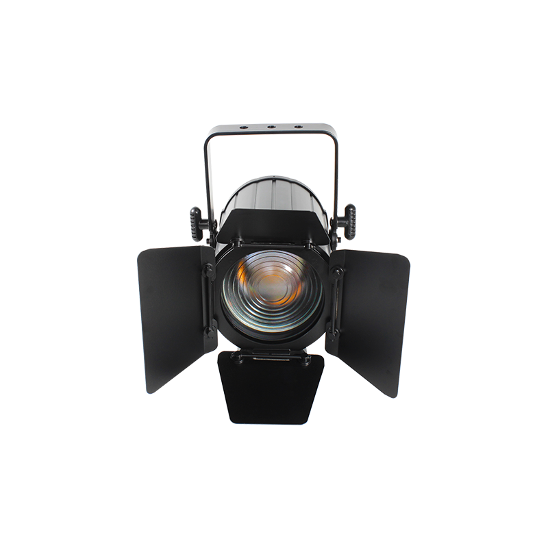 MINIFRESNEL 100MZ