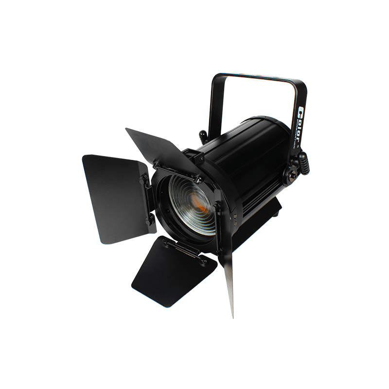 MINIFRESNEL 100MZ